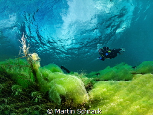 The image shows an underwater shot in which a diver can b... by Martin Schrack 